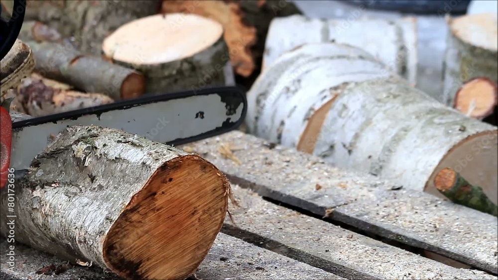 cutting wood, chainsaw, gas, sawing, firewood cutting wood, chainsaw, gas, sawing, firewood