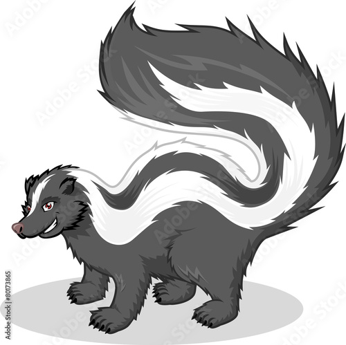 High Quality Skunk Vector Cartoon Illustration