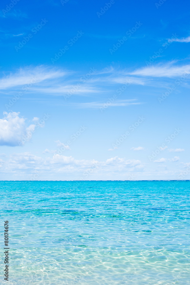 Obraz premium 沖縄の海・水平線と青空