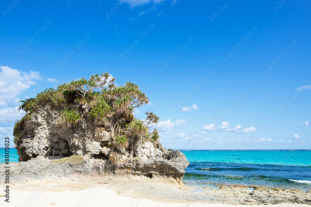 Fototapeta premium Plaża Okinawa Plaża Nagahama
