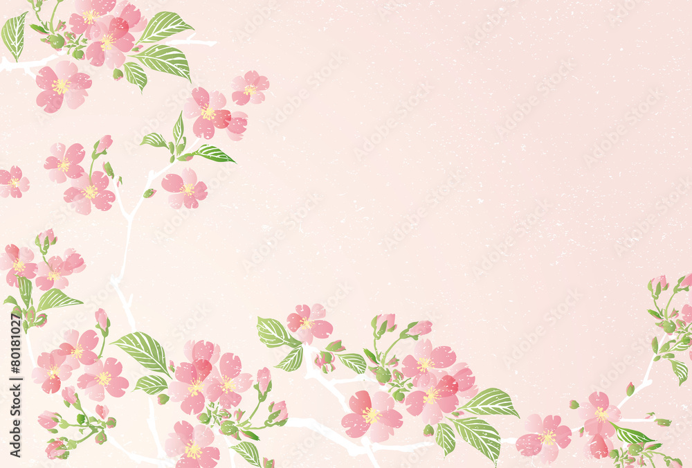 Vector illustration of Cherry blossom flowers with leaves