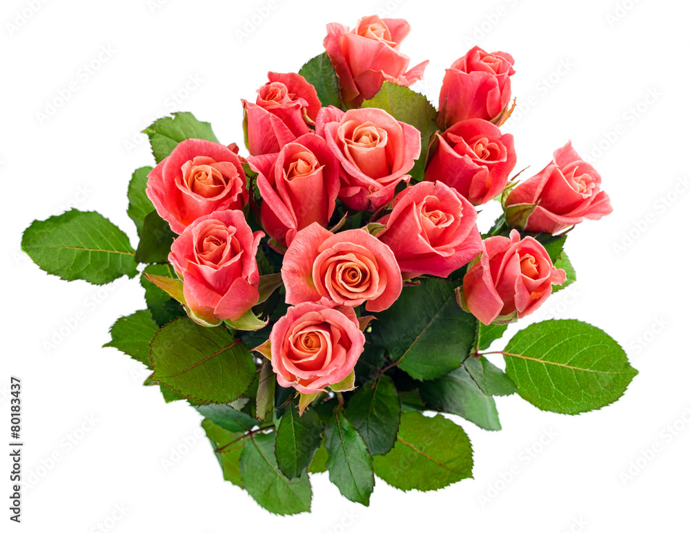 Obraz premium Pink roses bouquet