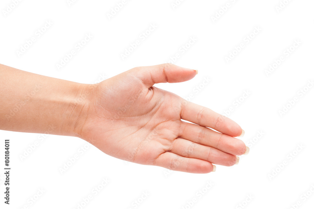 Two hands isolated on a white background