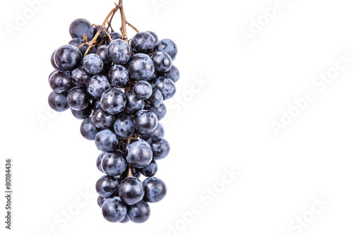 Grape on white background