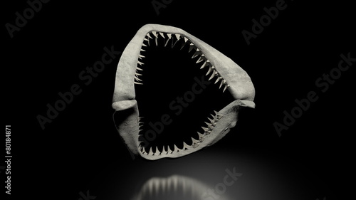 old shark jaw with transparent effect and alpha channel