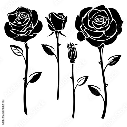 Roses