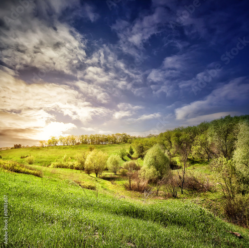 Fototapeta Naklejka Na Ścianę i Meble -  Landscape with a field of green grass and trees