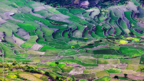 Ifugao photo