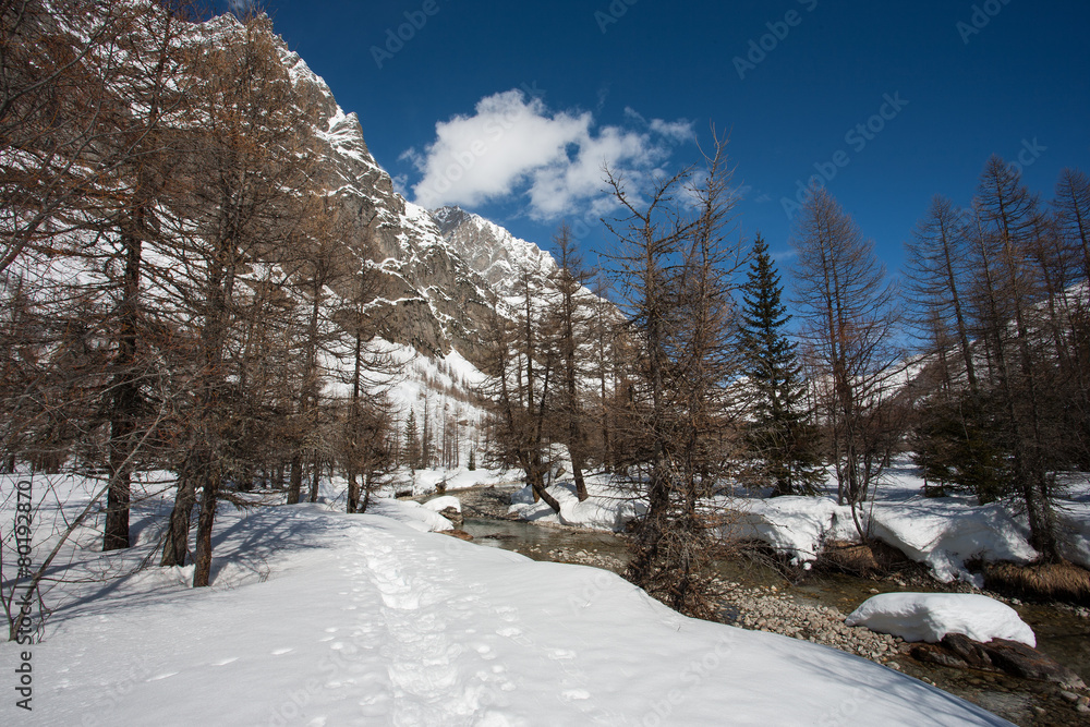 custom made wallpaper toronto digitalVacanze sulla neve