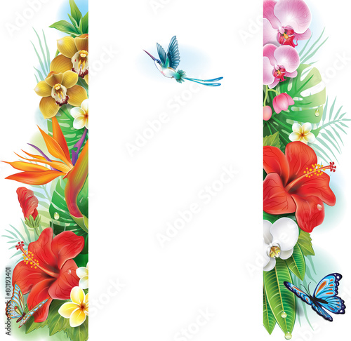 Fototapeta Naklejka Na Ścianę i Meble -  Banner from tropical flowers and leaves