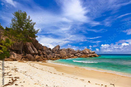 Tropical beach at Seychelles © Nikolai Sorokin