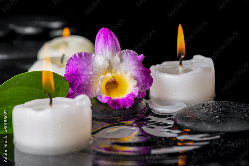 spa concept of purple orchid dendrobium, leaf with dew and candl spa concept of purple orchid dendrobium, leaf with dew and candl