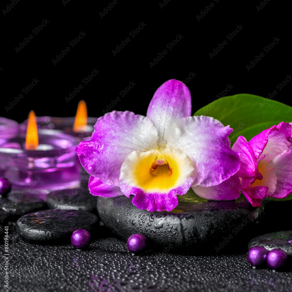 spa background of purple orchid dendrobium, green leaf Calla lil spa background of purple orchid dendrobium, green leaf Calla lil
