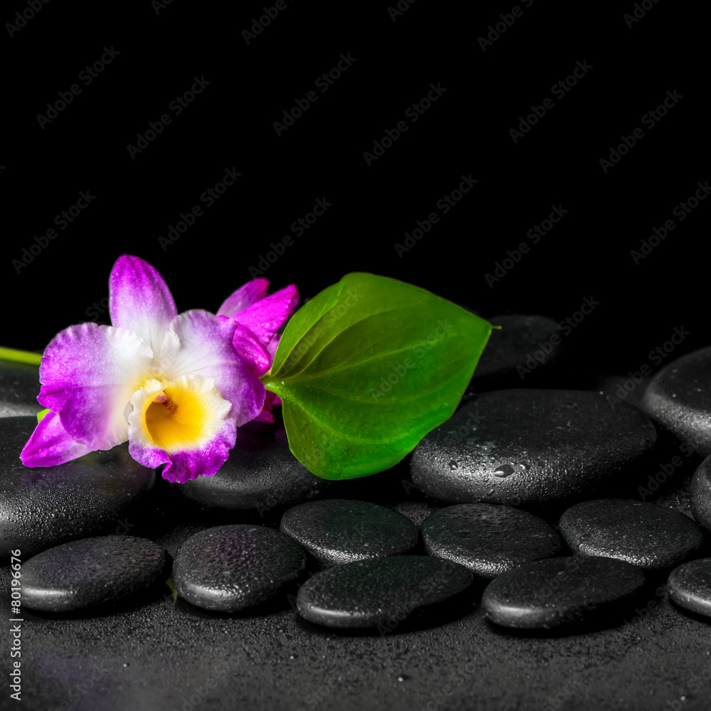 spa background of purple orchid dendrobium and green leaf Calla - obrazy, fototapety, plakaty 