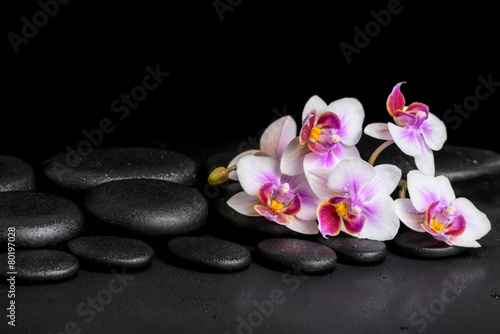 beautiful spa background of purple orchid phalaenopsis on black