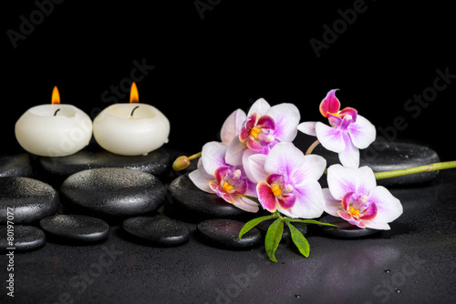 beautiful spa still life of purple orchid phalaenopsis and green