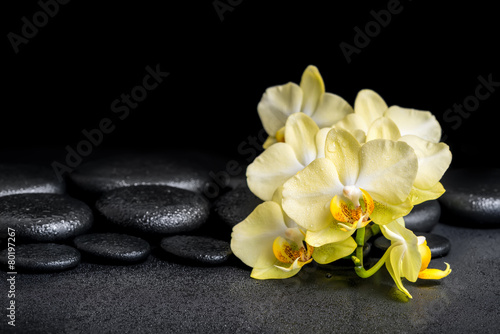 beautiful spa concept of yellow orchid phalaenopsis on black zen