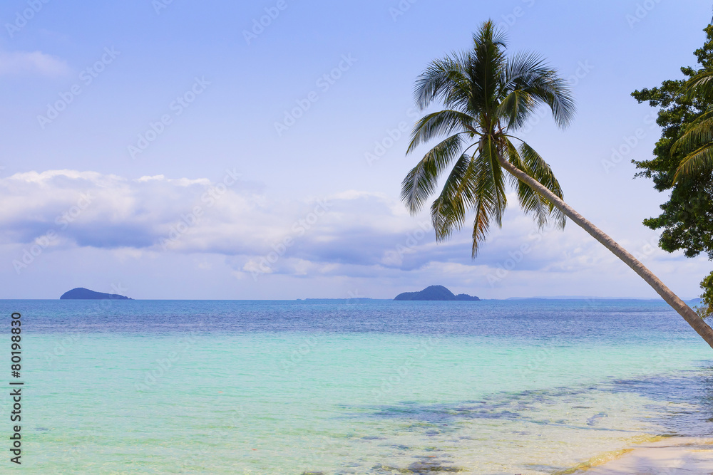 ヤシの木とビーチ　Palm trees and beach　Thailand