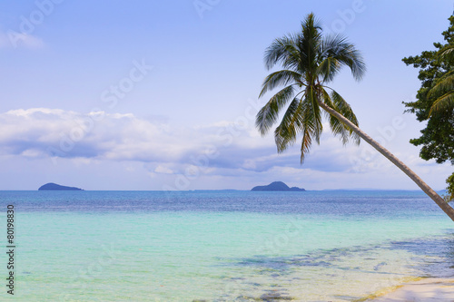 ヤシの木とビーチ　Palm trees and beach　Thailand © Nishihama