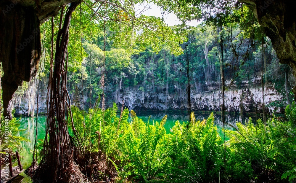 Fototapeta premium Cenote of Santo Domingo