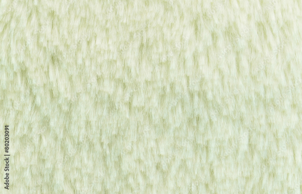 White fur background and texture White fur background and texture