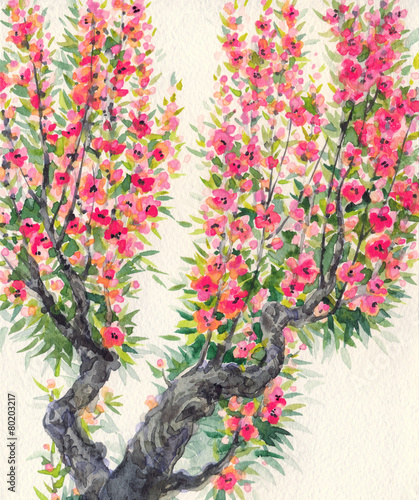 Watercolor background. Spring blooming of an old tree