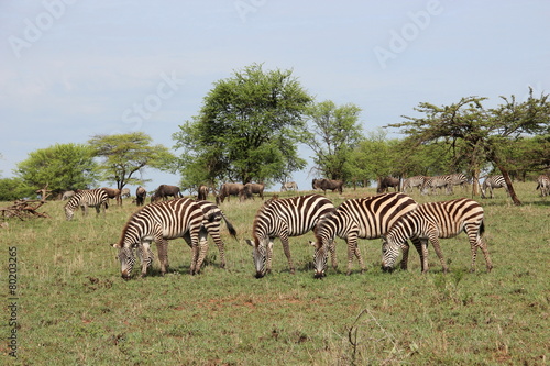 tanzanian park tanzania