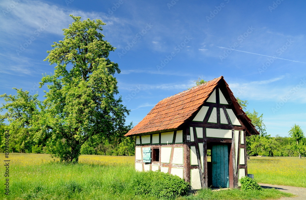 Schäferhütte auf einer Frühlingswiese Schäferhütte auf einer Frühlingswiese