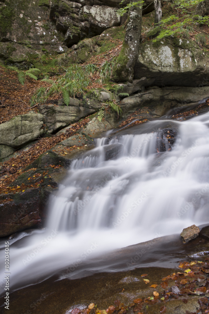 Fototapeta premium landscape with mountains trees and a river