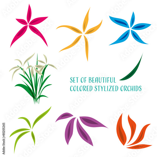 Fototapeta Naklejka Na Ścianę i Meble -  Stylized flowers