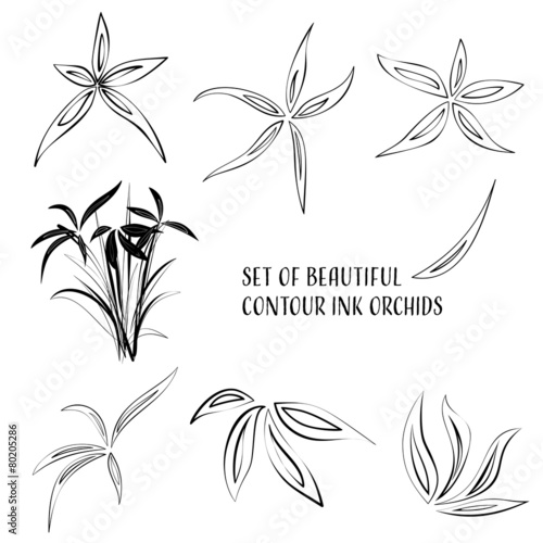 Fototapeta Naklejka Na Ścianę i Meble -  Contour ink flowers