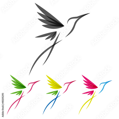 Colored stylized colibri