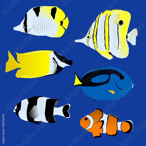 Great tropical fish collection on blue background, vector illust