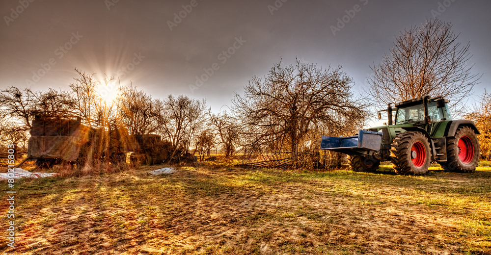 Obraz premium landwirtschaft