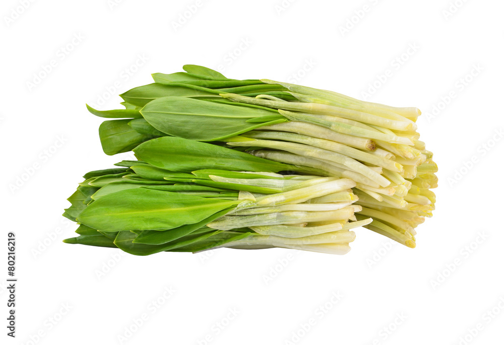 Wild leek bunch, isolated on white background Wild leek bunch, isolated on white background