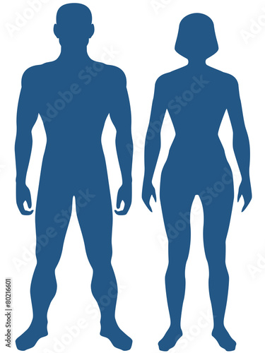 Human body