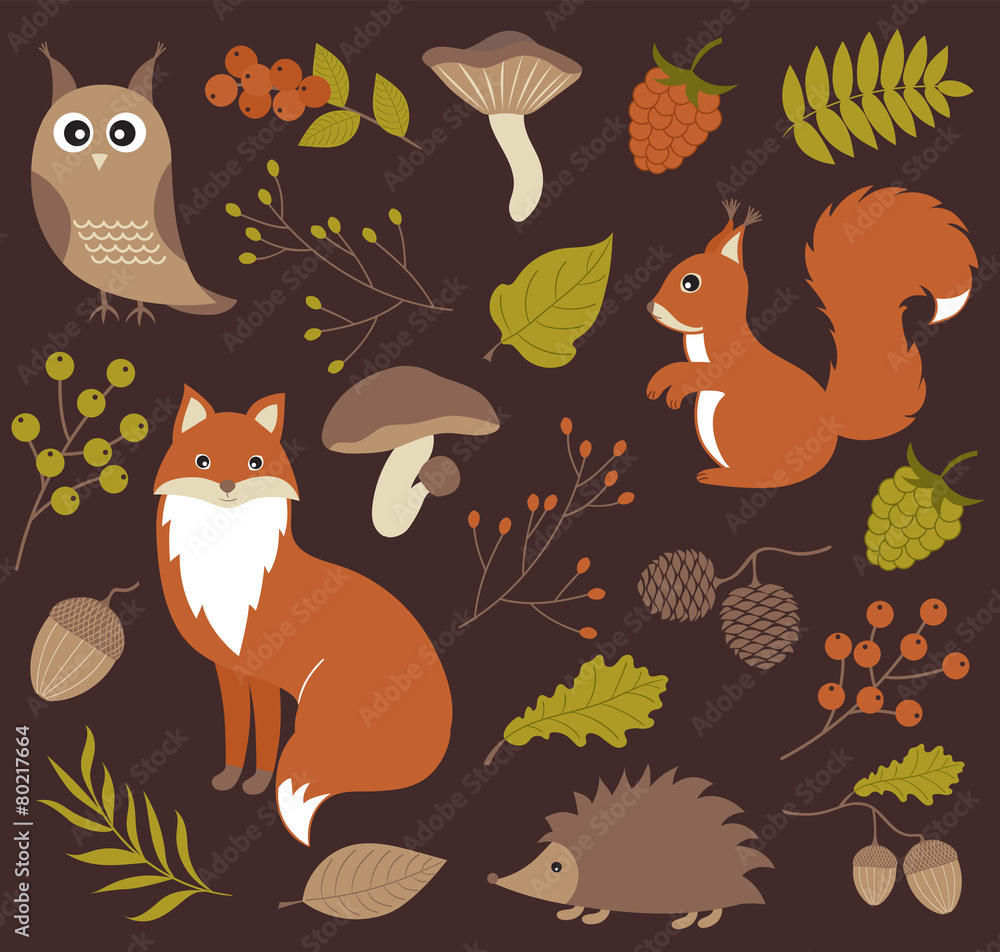 Obraz premium Woodland animals set