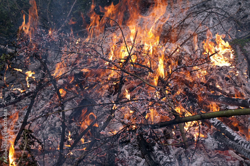 feu de jardin feu de jardin