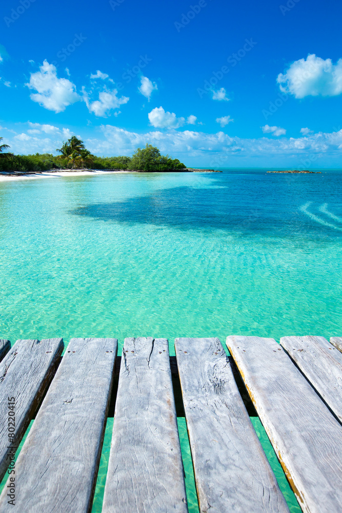 Fototapeta premium tropical sea