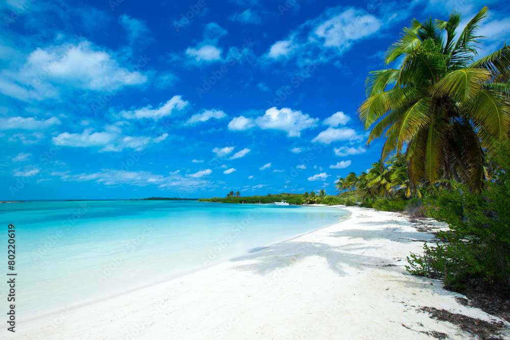 Fototapeta premium beach