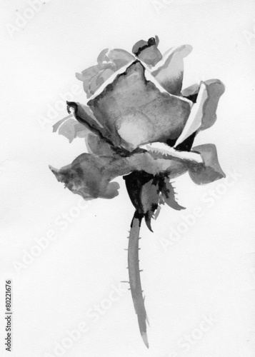 Handdrawn rose in sketch-style, isolated on white background