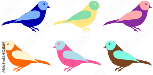 Sammlung Vögel bunt