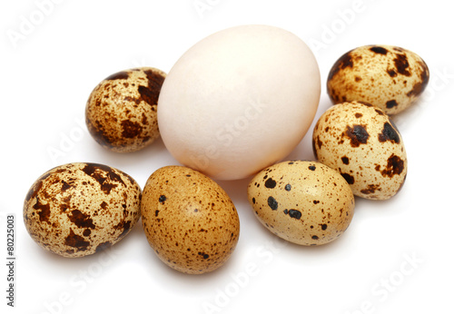 Chicken and quail eggs