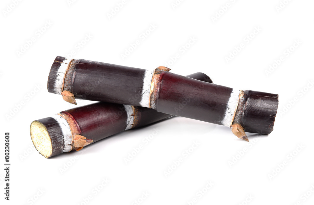 Sugarcane isolated on white background Sugarcane isolated on white background