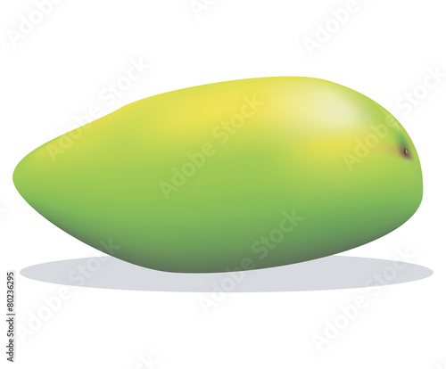 Green unripe mango vector image