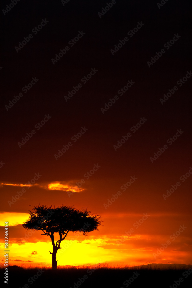 Fototapeta premium Kenyan Sunset