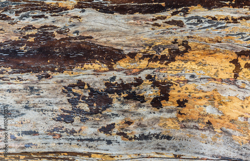 Texture and color of old plank