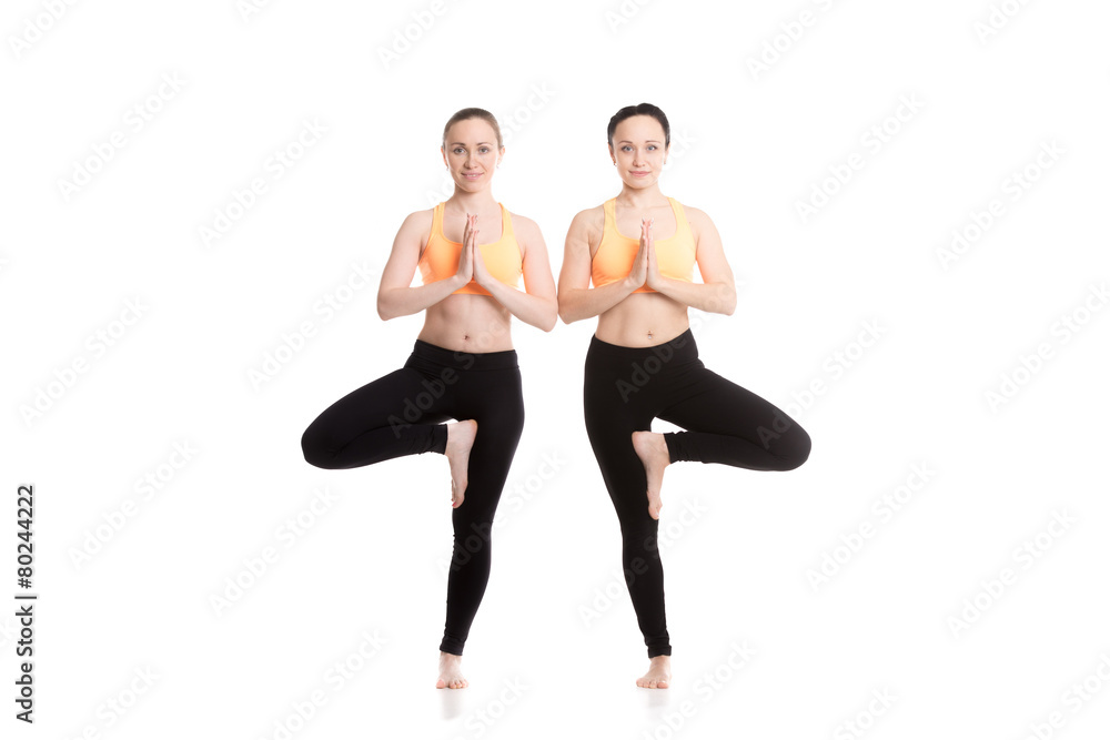 Obraz premium Yoga with companion, Vriksasana pose