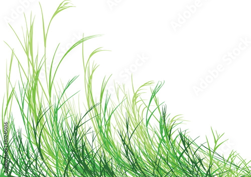 Grass is Greener