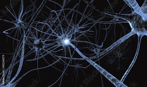 Neuronas photo
